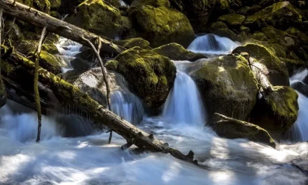 Jamestown S’Klallam Tribe Earns EPA Approval to Administer Clean Water Act  Programs on Reservation and Trust Lands